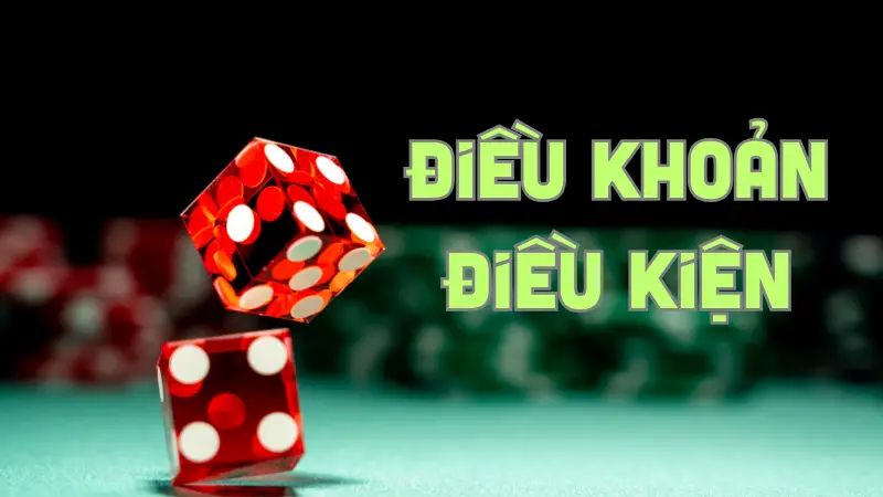 Điều khoản và điều kiện nêu rõ các hành vi bị nghiêm cấm